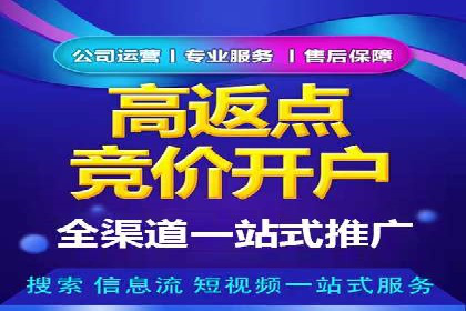 成功案例：sem竞价托管的智慧与策略